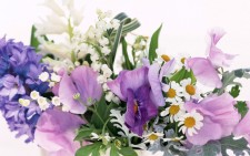 Какие цветы предпочесть для свадьбы весной?